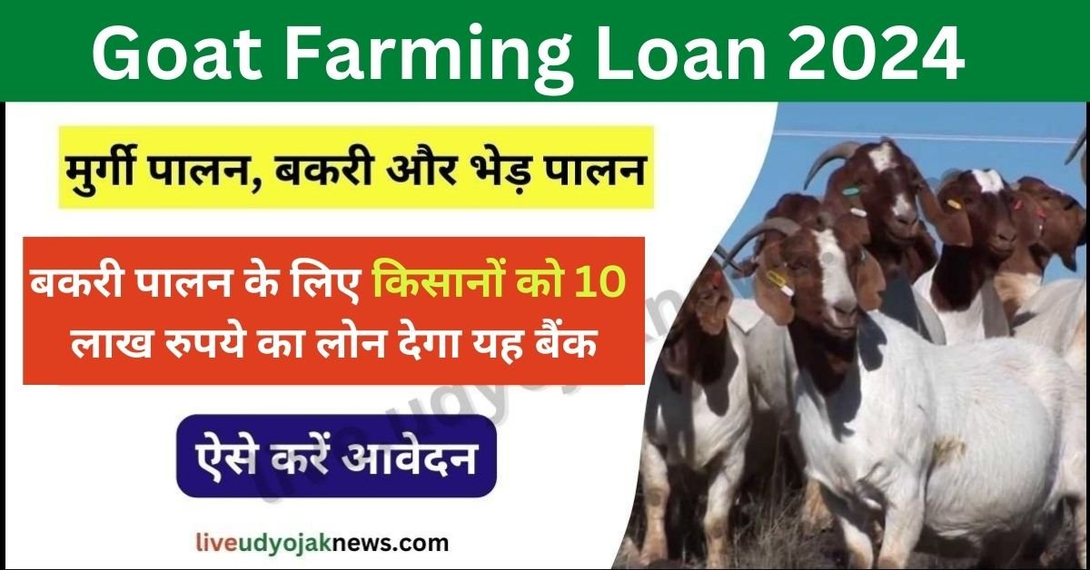 Goat Farming Loan 2024