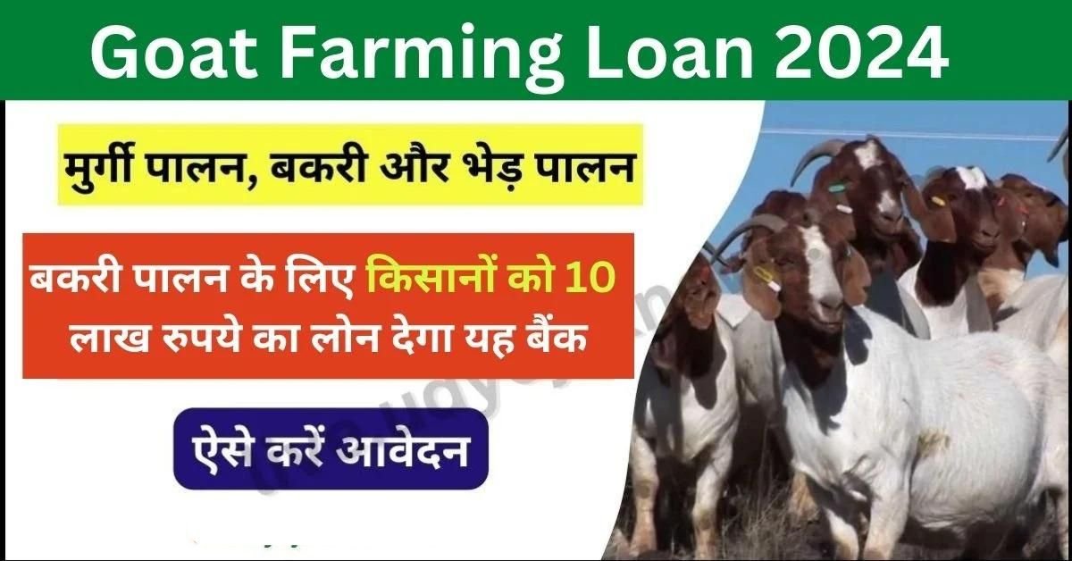 Goat Farming Loan (1)
