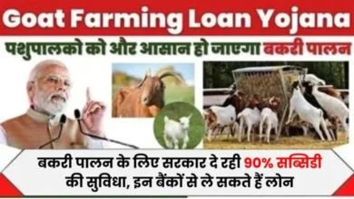 Goat-Farming-Subsidy-Yojana