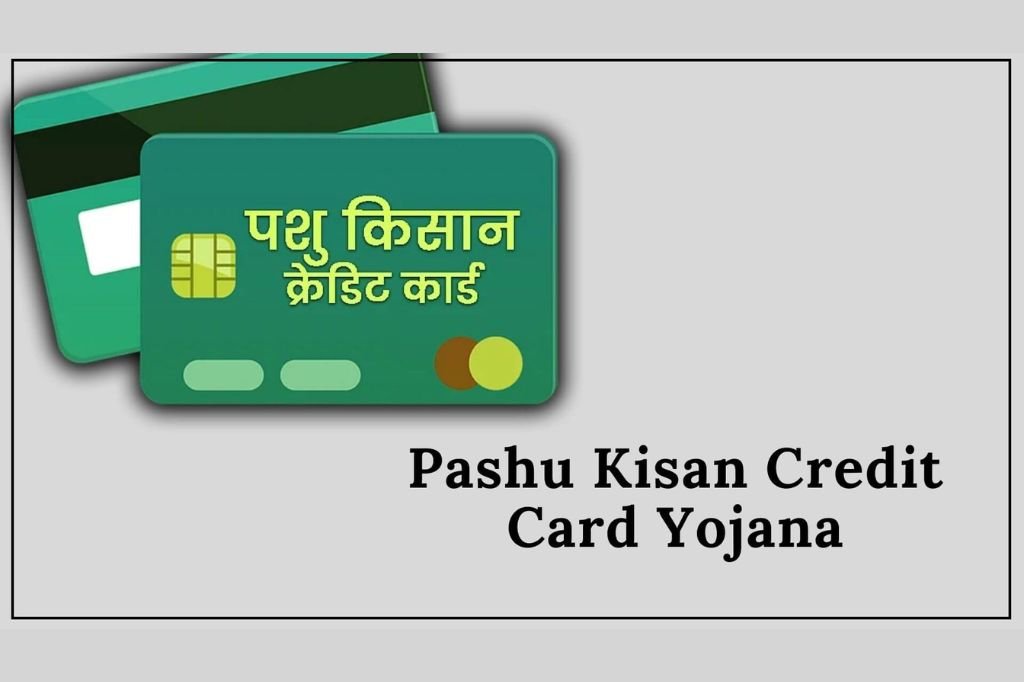 Pashu Loan Scheme 2024