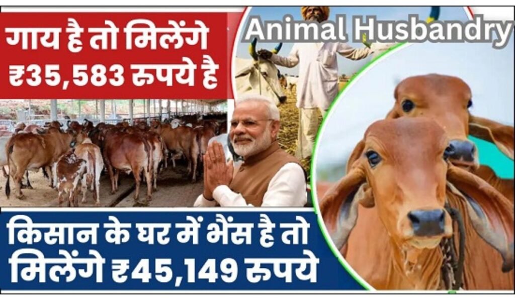 Animal Husbandry Scheme 2024