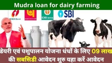Mudra loan for dairy farming