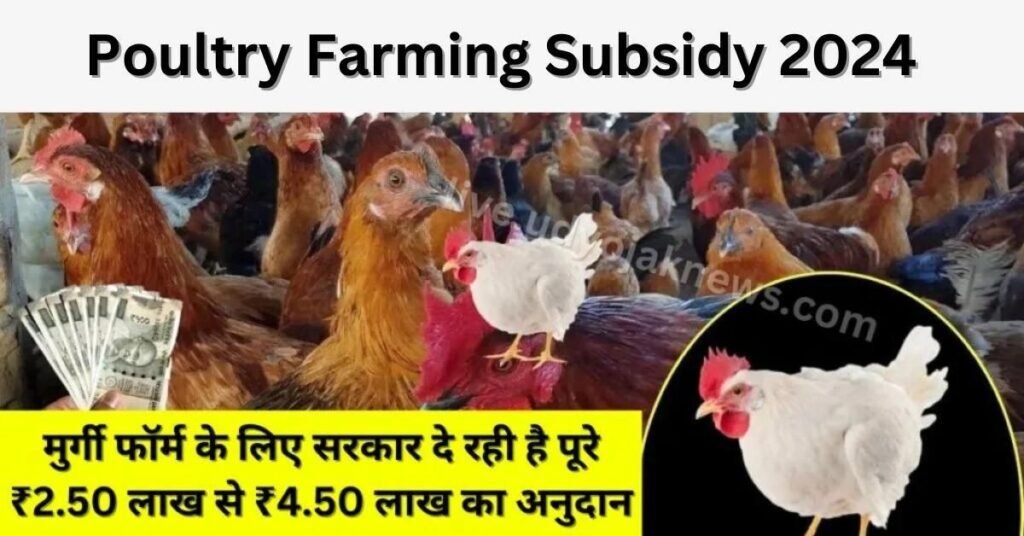 Poultry Farm Loan 2024