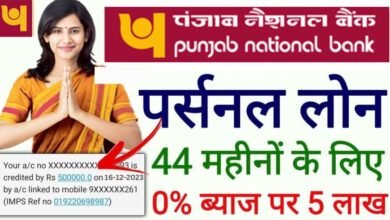 PNB Instant Personal Loan 2024